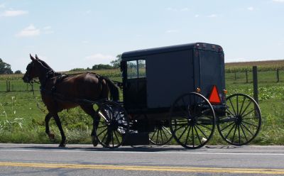 Amish
